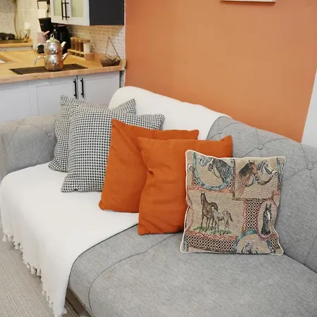 Triplex House In Cihangir Provincia di Istanbul