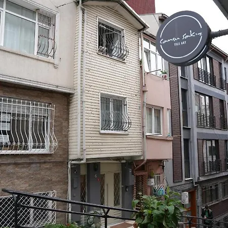 Triplex House In Cihangir